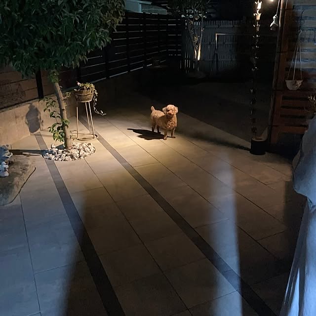 pochipochiさんの部屋