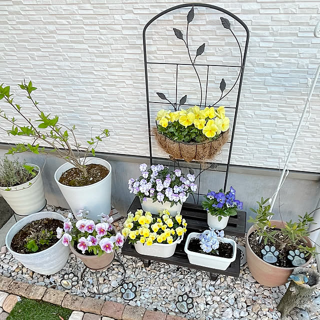 RAKI_Homeさんの実例写真
