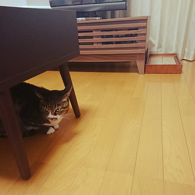 nachiさんの実例写真