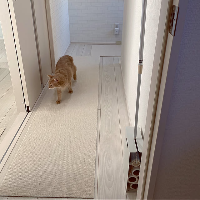 mofucatさんの実例写真