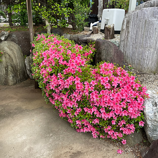 shin0719さんの実例写真