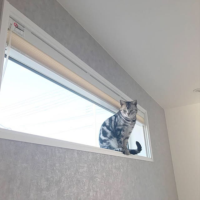 maya____homeさんの実例写真