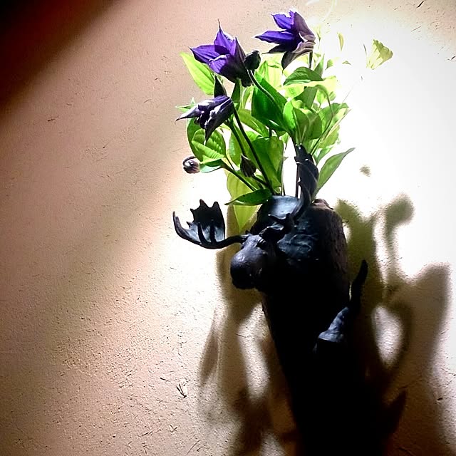 Gravityさんの実例写真