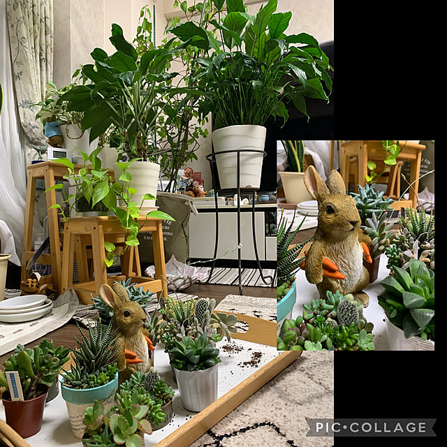 Aqettyさんの部屋
