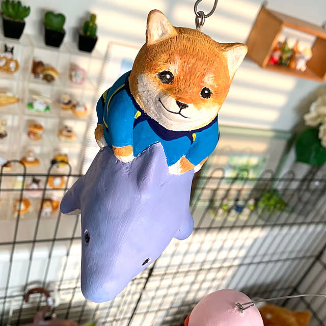 kotatsuさんの部屋