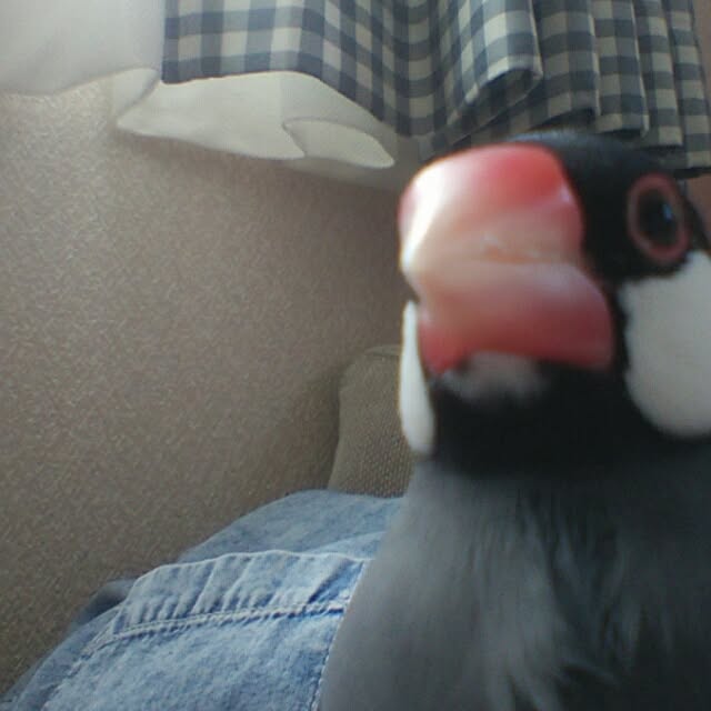 miiさんの実例写真