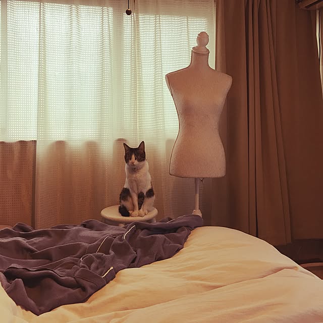 Shihoさんの実例写真