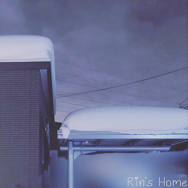 Rinさんの実例写真