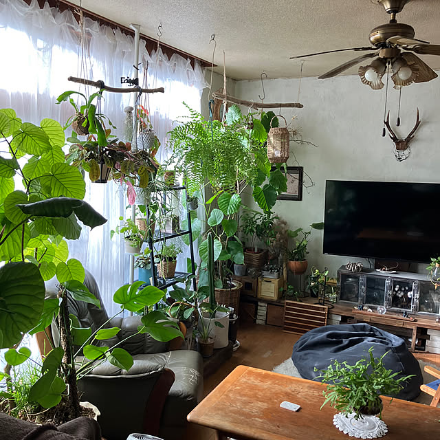 ganchan_0910さんの部屋