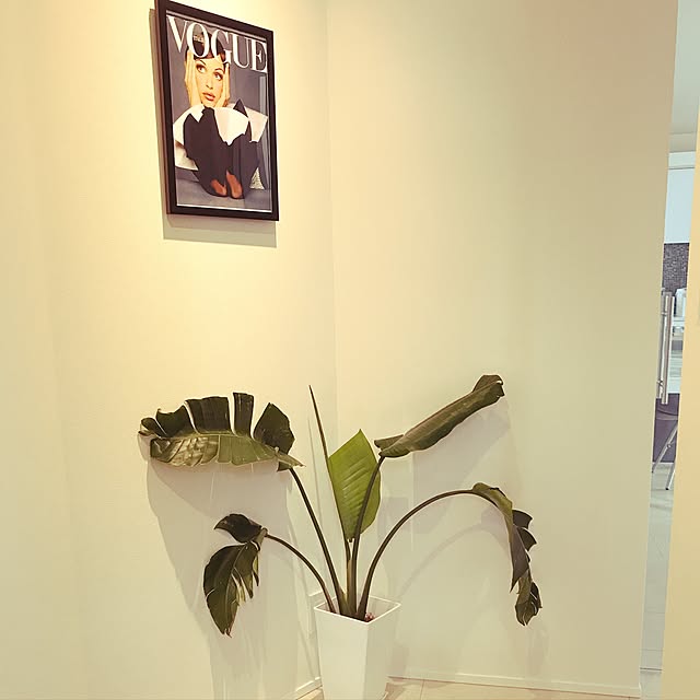 Emilyさんの実例写真