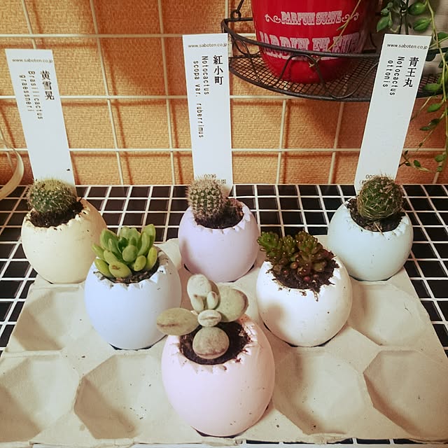 44さんの実例写真