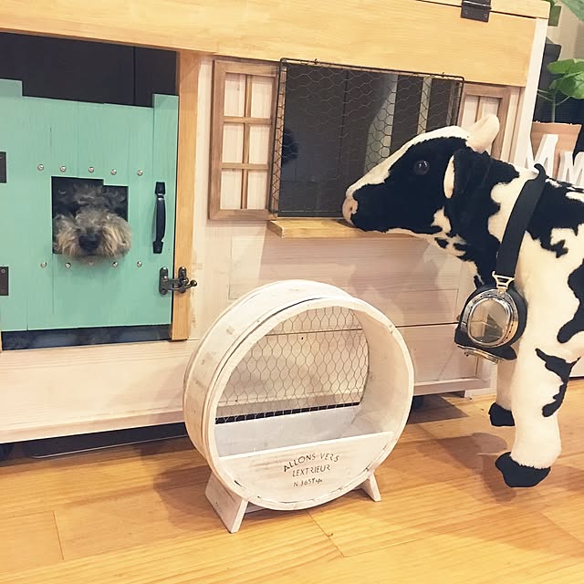 makoriさんの実例写真