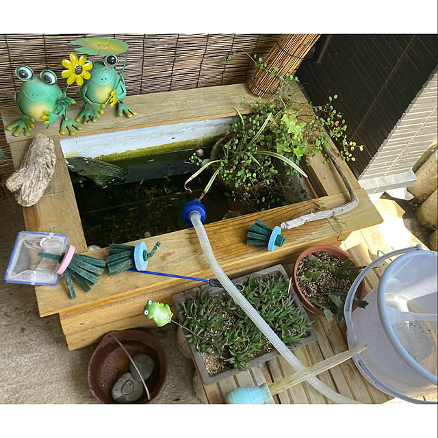 CoCo0617さんの部屋