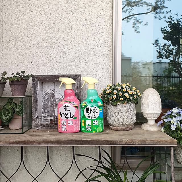 hana-さんの実例写真