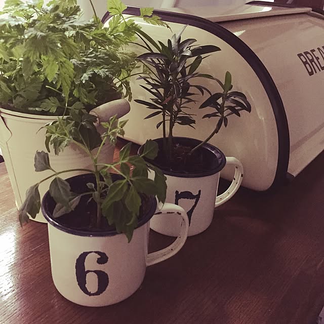 caferikaさんの実例写真