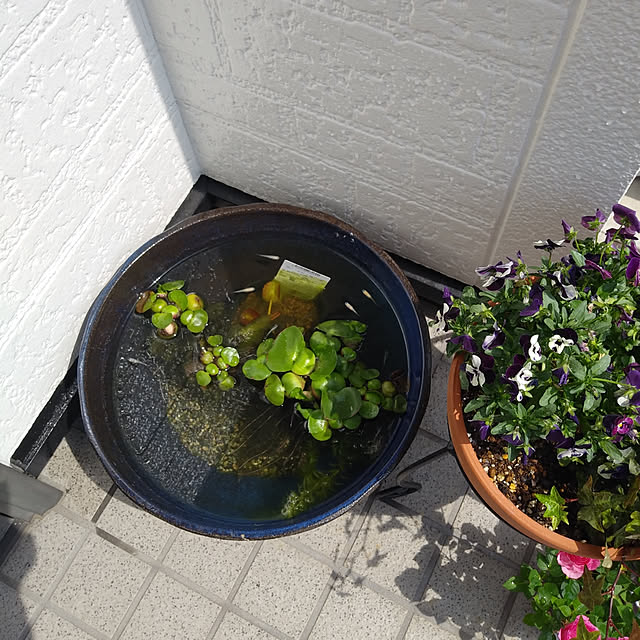 yoshiさんの実例写真