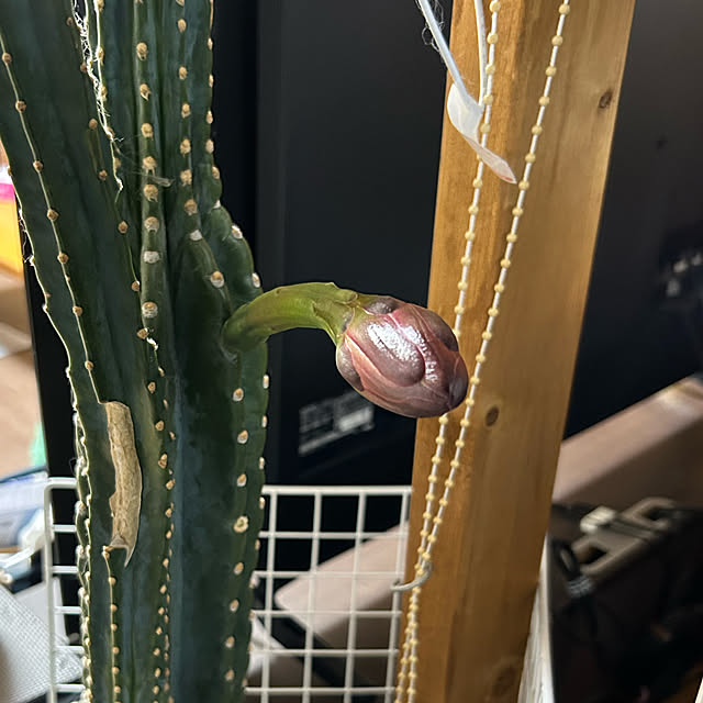 keibooさんの実例写真