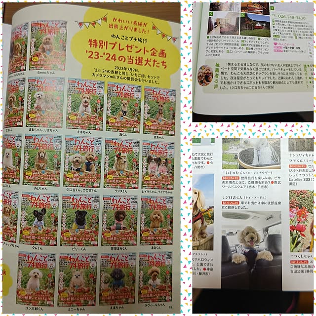 yumirinさんの実例写真