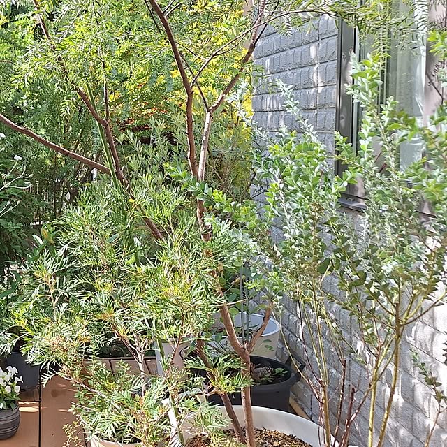 souさんの部屋