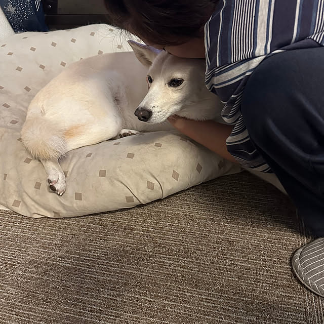 tanboさんの部屋