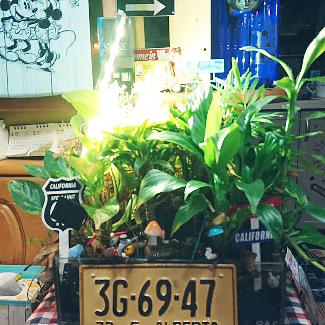 hiro4649さんの実例写真