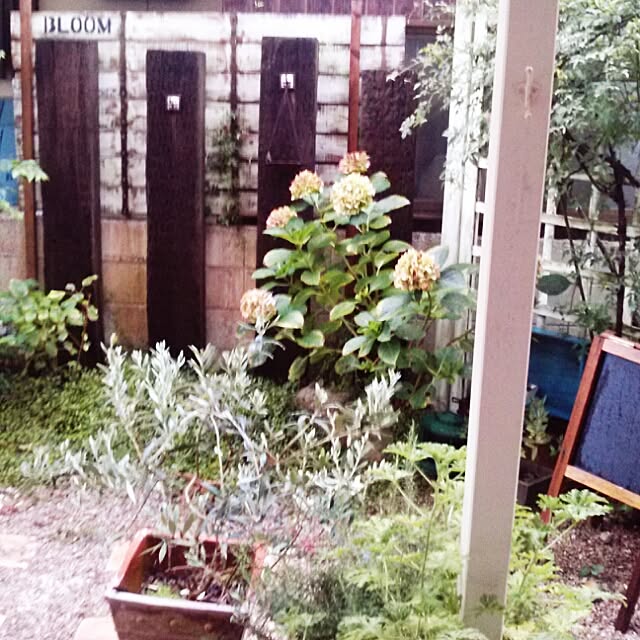 takanaさんの実例写真