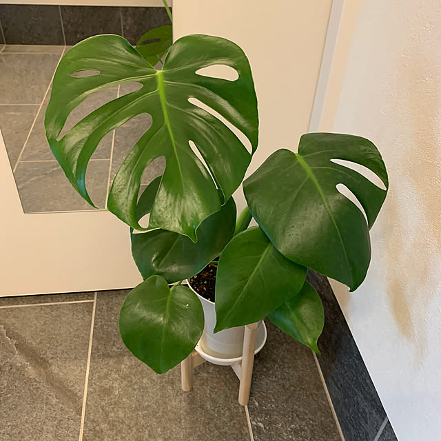 h_home.hさんの実例写真