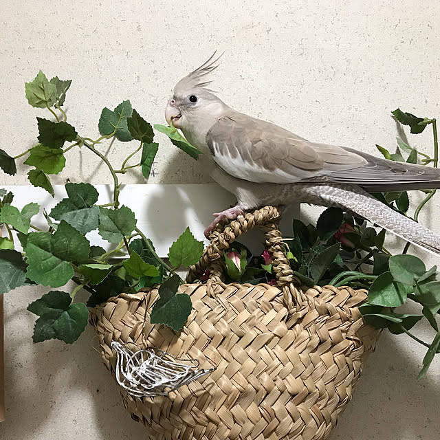 yu.さんの実例写真