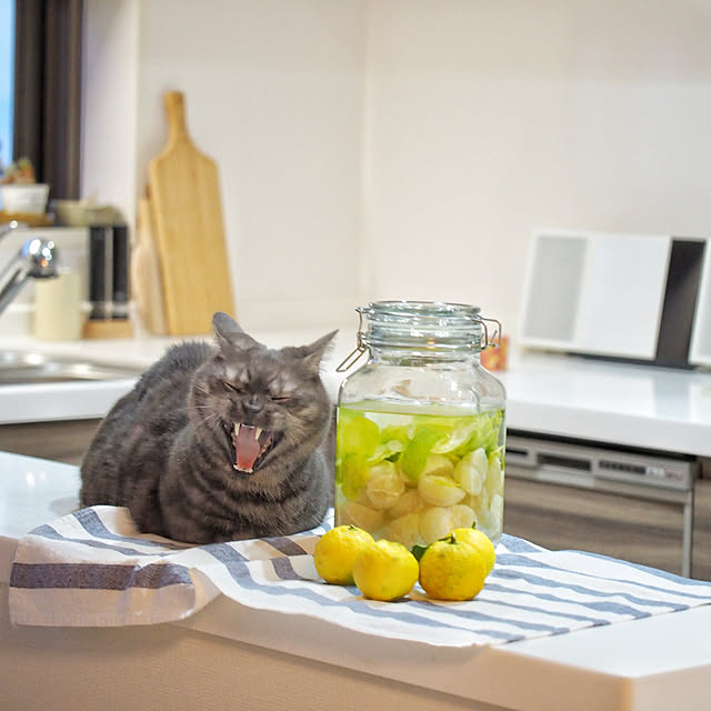 tomatoさんの実例写真