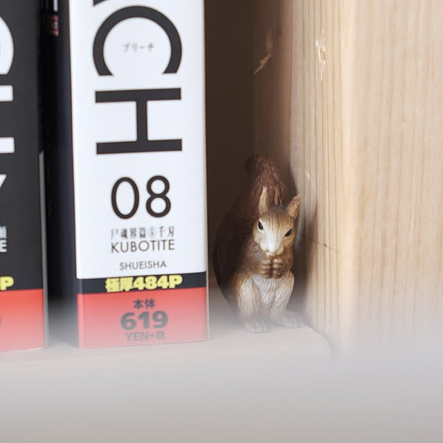Fujiさんの実例写真