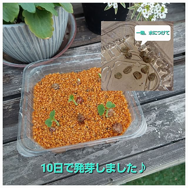 valleさんの実例写真