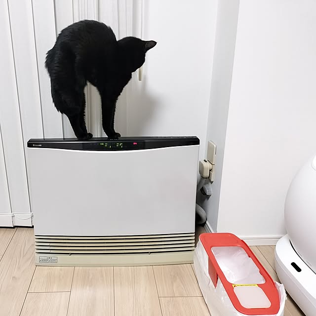 sakuraさんの部屋