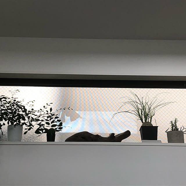 otanuさんの実例写真