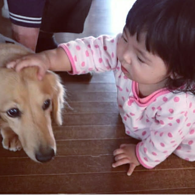 a-chan1221さんの実例写真