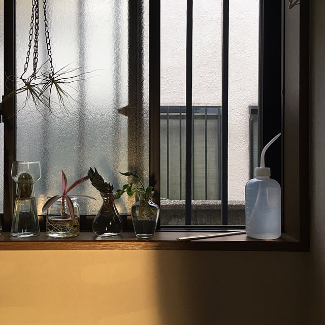 anri38さんの実例写真