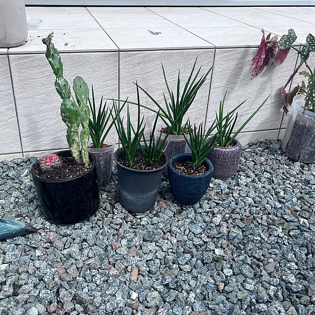 riakanaさんの実例写真