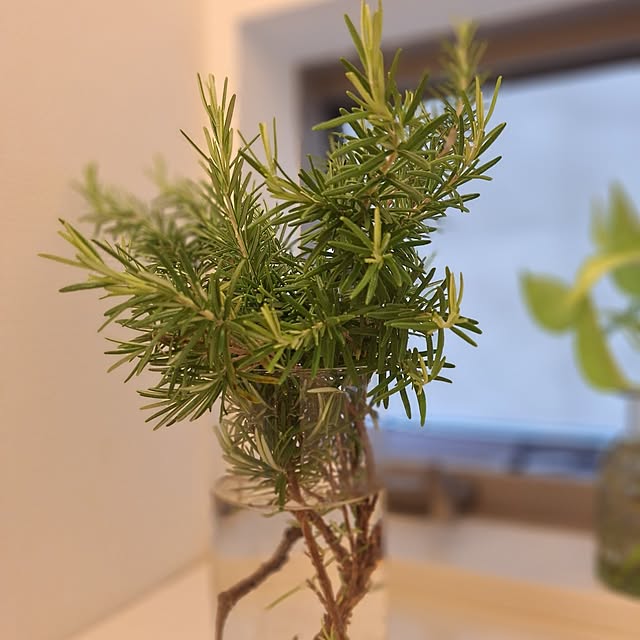 souさんの部屋