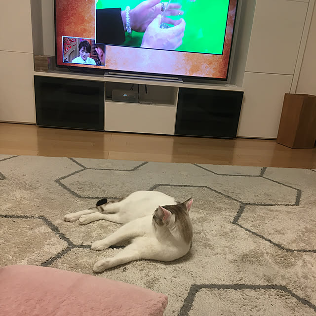 ryu-eiさんの実例写真