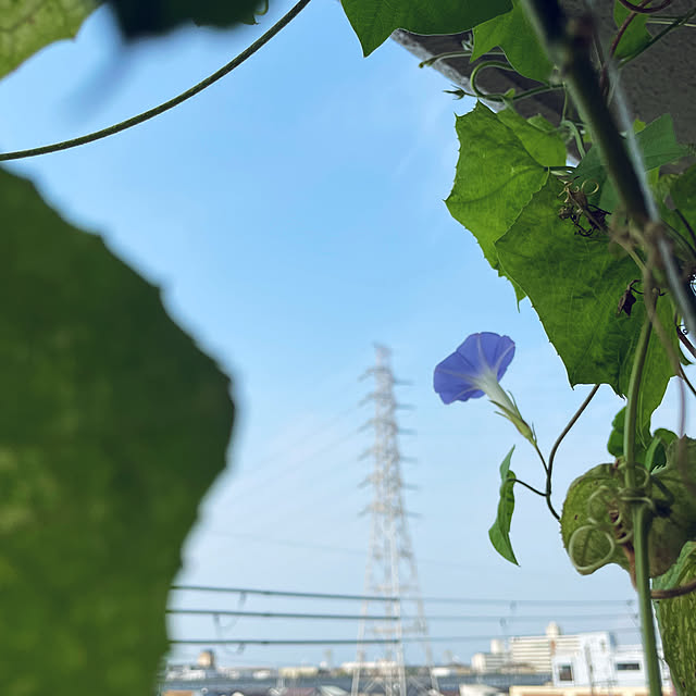 domさんの実例写真