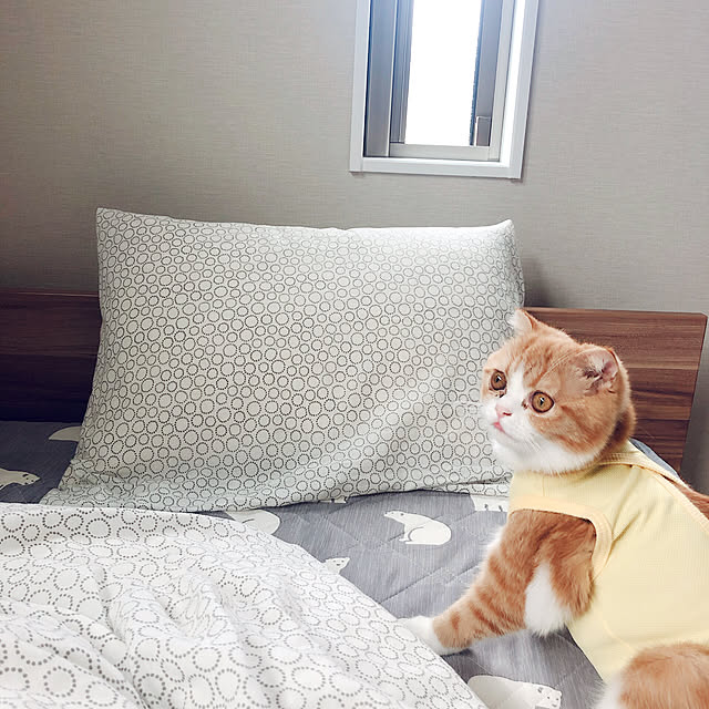 chamihomeさんの実例写真