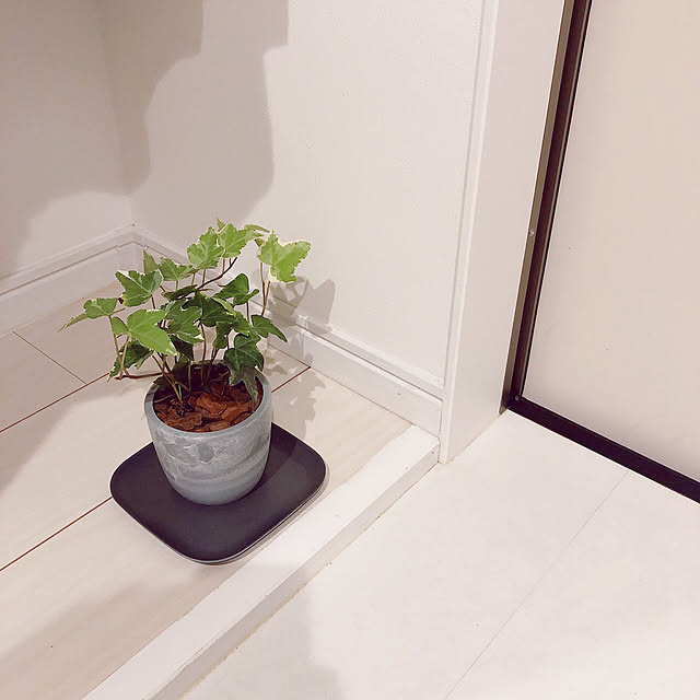 sumomoさんの実例写真
