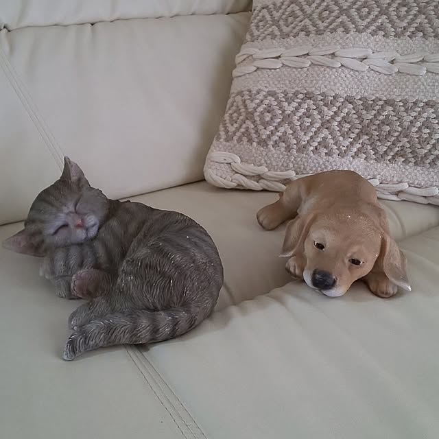yumiyumiさんの実例写真