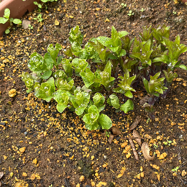 nannoさんの実例写真