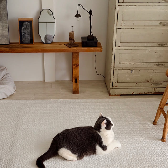 yunさんの実例写真