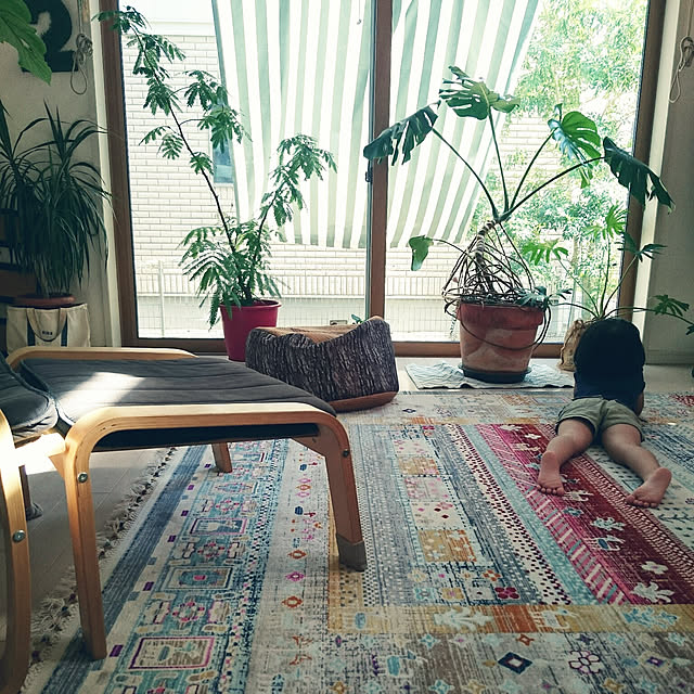 urchinさんの実例写真