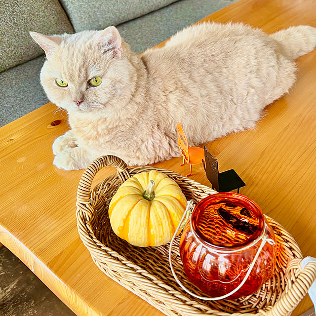 naokoさんの部屋