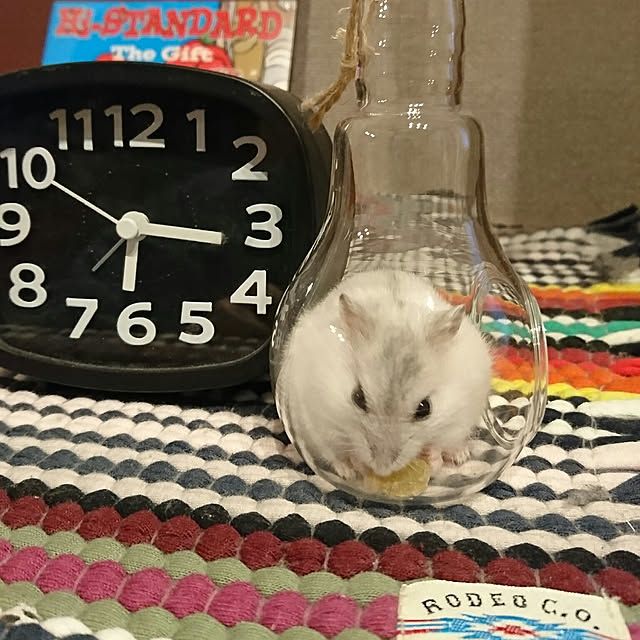 kmkさんの実例写真