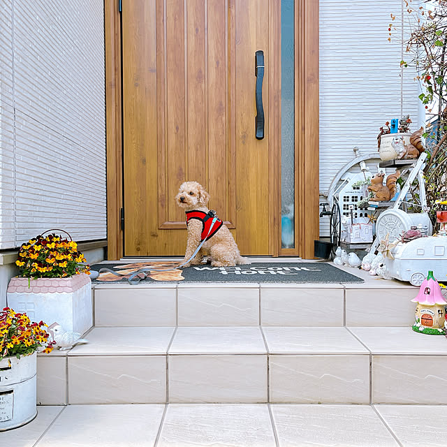 eriharuさんの実例写真