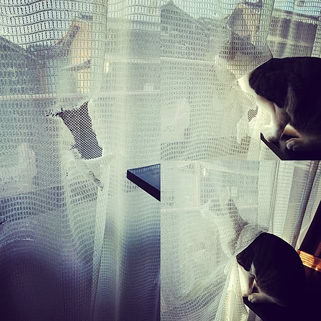 kiraさんの実例写真