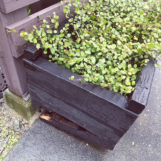 mtmtさんの部屋